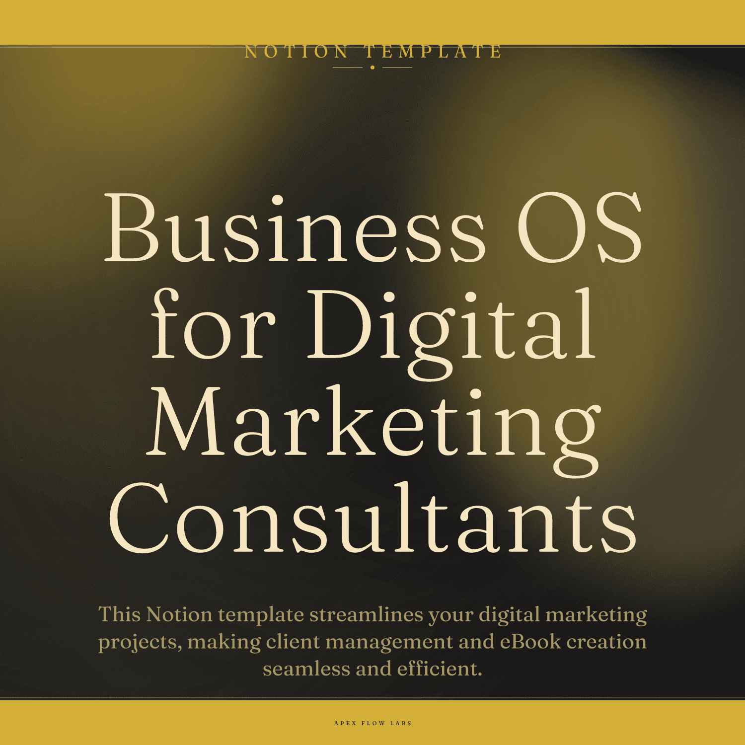 Business OS for Digital Marketing Consultants